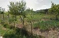 Tirane For Sale Land  Tirana-Durres Highway, secondary road. Industrial Land Building Plot